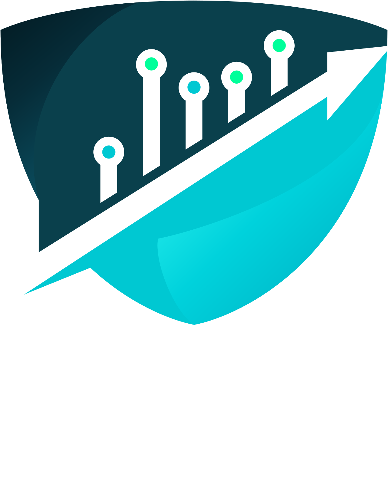 Survet logo